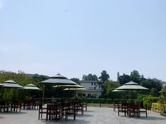 -厦门悦华酒店·绿庭主题自助餐厅