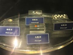 -中国地质大学逸夫博物馆
