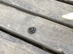 -碓臼峪自然风景区