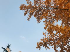 -四川大学(望江校区)
