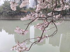 -红星桥(地铁站)