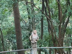 -黔灵山公园