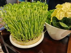 -葛记红焖羊肉(人民路店)