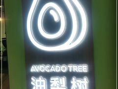 -油梨树AVOCADO TREE(望京店)