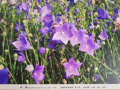 -北京中医药大学-中医药博物馆