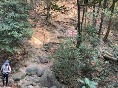 -火炉山森林公园