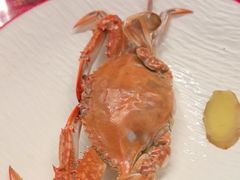 -牛New寿喜烧(金鹰世界店)