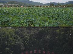 -古田会议纪念馆