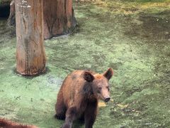 -深圳野生动物园