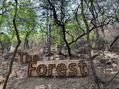 -云峰山自然风景区