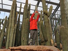 -南通洲际绿博园