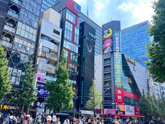 -秋叶原电器街