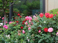 -济南喜来登酒店