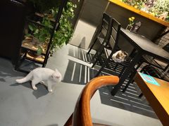 -IFIF 如果花園(宽厚里店)
