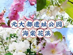 -元大都城垣遗址公园