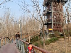 -东郊湿地公园