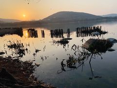 -长广溪湿地公园