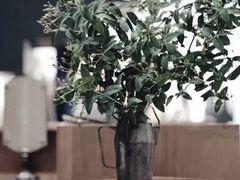 -楠溪江风景名胜区