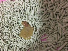 -纳吉亚猫专科动物医院博雅分院