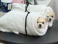 -喵汪宠物生活馆(涞坊路店)