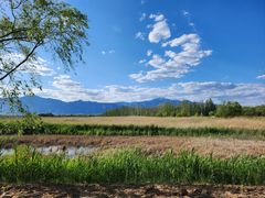 -野鸭湖国家湿地公园
