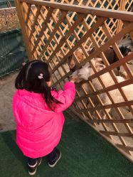 -萌宠亲子动物乐园(槐房万达店)