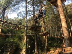 -梦幻奥陶纪景区