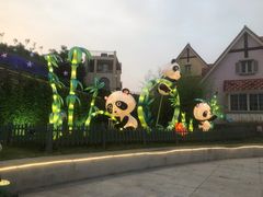 -大塘金香草谷