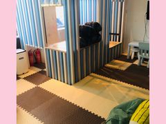 -the rug 飞毯 (朝阳公园店)