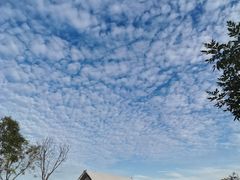 -天津东丽湖风景区