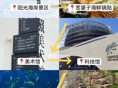 -日照海滨国家森林公园