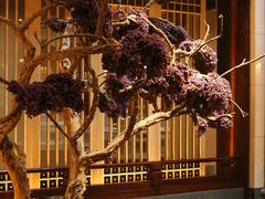 -西安华清御汤酒店