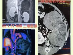 -北京派仕佳德动物医院·超导核磁·CT·神经科·骨科·内外科·急重症管理中心