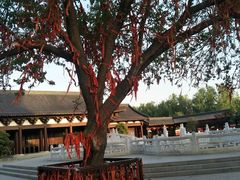 -祥源·阜阳生态乐园