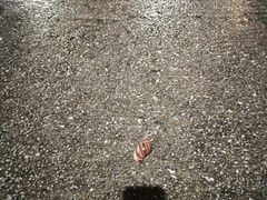 -澳门励庭海景酒店