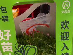 -海底捞火锅(铂澜大象城店)