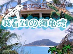 -广东惠东海龟国家级自然保护区