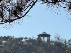 -乌素图国家森林公园