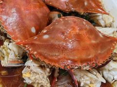 -魚當家