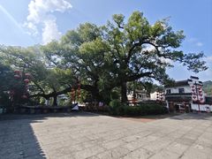 -新安江山水画廊风景区