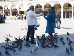 -圣马尔谷圣殿宗主教座堂