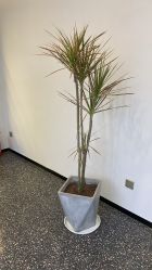 -OnHair造型