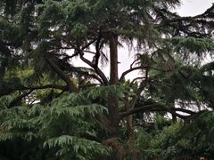 -上海虹桥迎宾馆