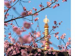 -广富林郊野公园