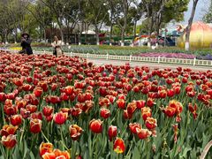 -玄武湖景区-情侣园游乐场