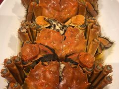 熟醉蟹-老吉士酒家(天平路店)