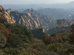 -望湘园·洞庭渔宴(永旺店)