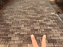 -静安公园(静安寺街道)