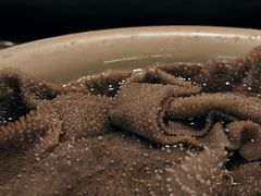 -朱氏胖子烂火锅(洪崖洞店)