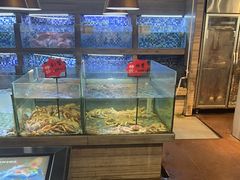 -上座·餐厅(阳光100店)